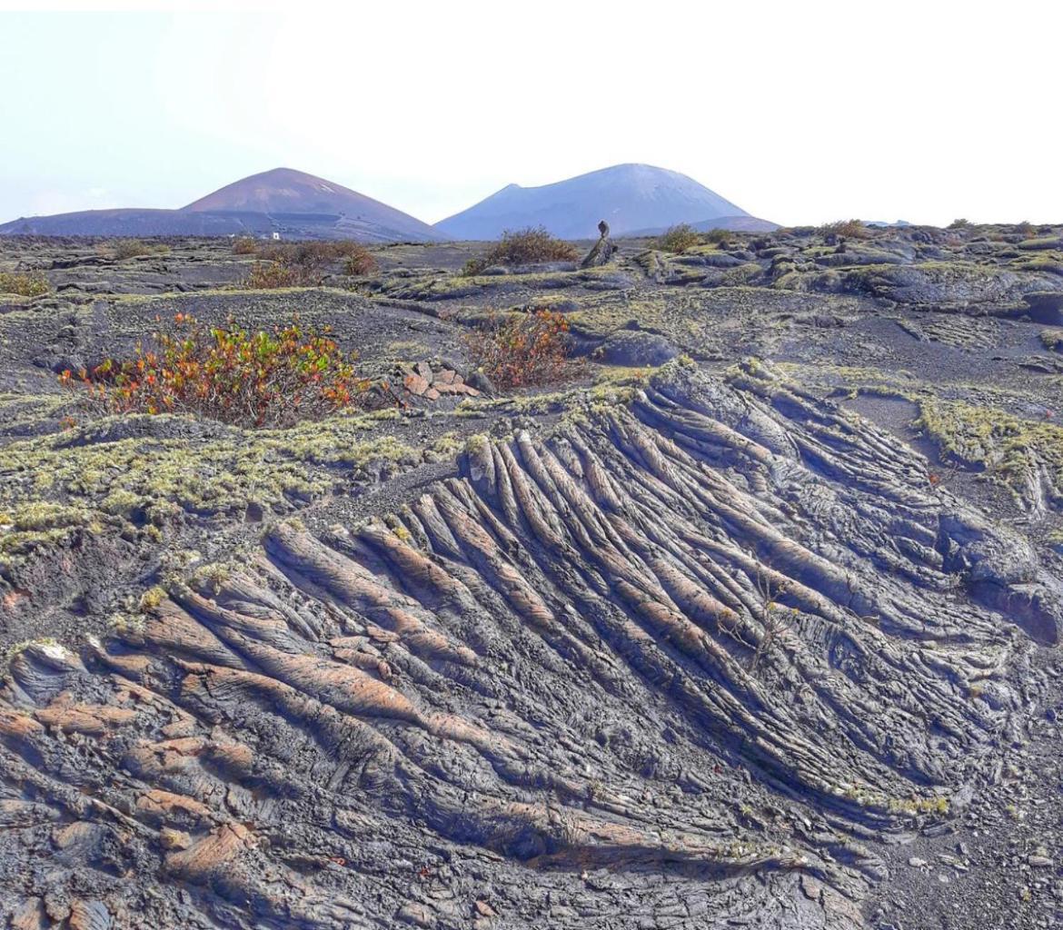 Lanzarote Casa Volcanica-Anclada Sobre La Lava Del Volcan Montana Blanca Exterior photo