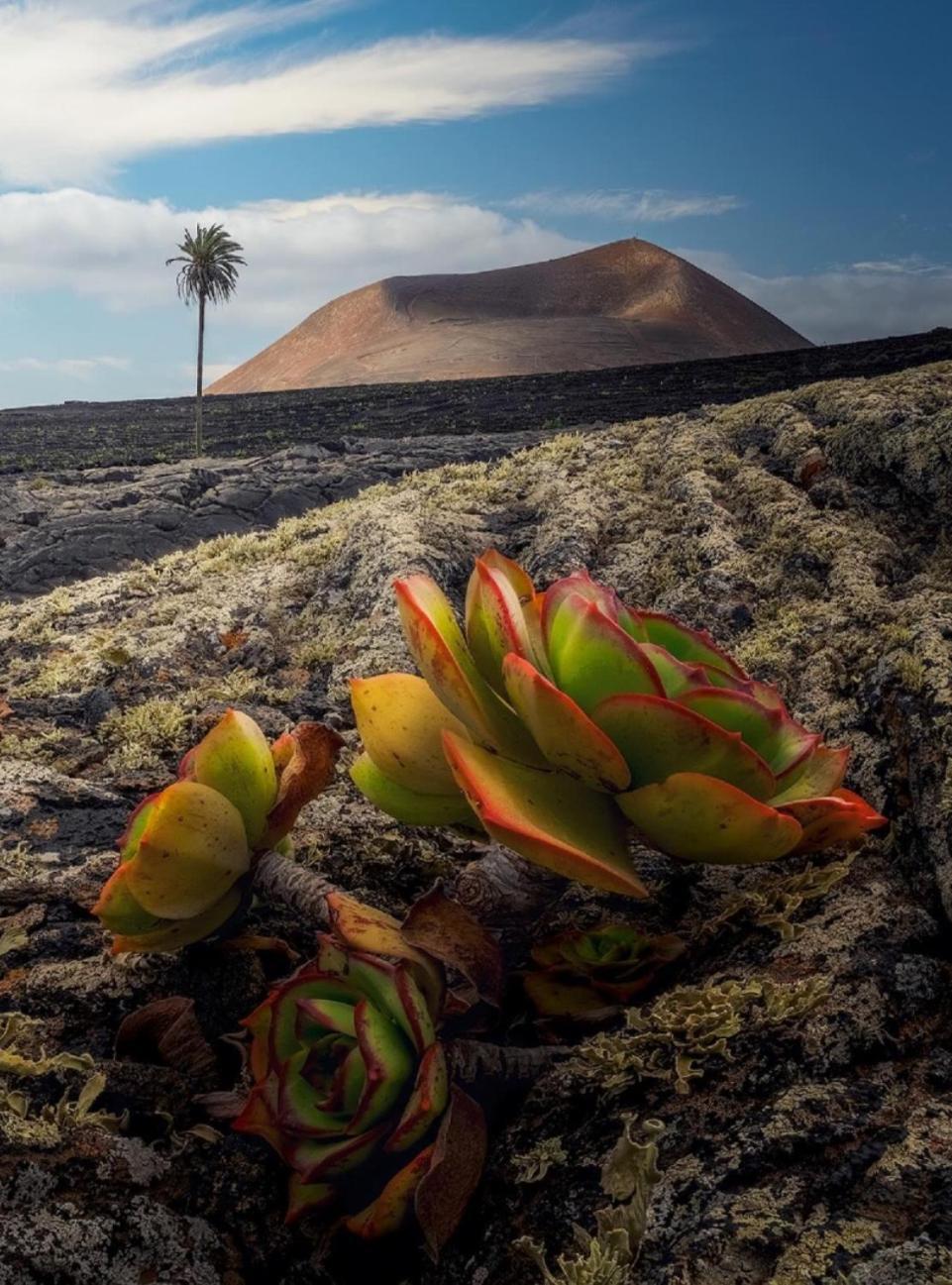 Lanzarote Casa Volcanica-Anclada Sobre La Lava Del Volcan Montana Blanca Exterior photo